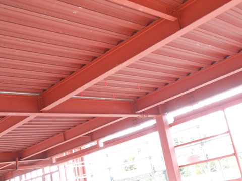 DSCN0910