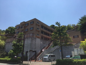 写真 2018-05-22 午前11 52 58
