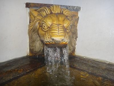 tamuraDSC00003