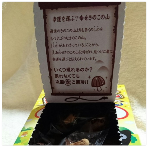 現れるのか?!大粒幸せきのこの山