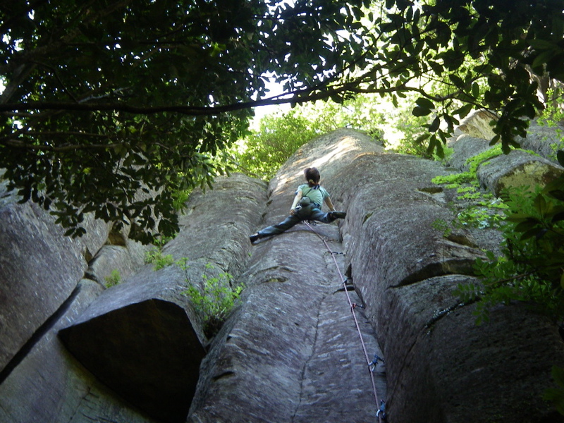 pandora090728