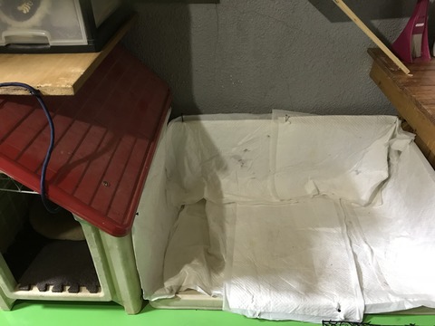 EBF3E45A-BC2B-49C8-9160-FFCC5204F3B3