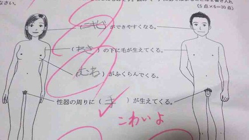 今日保存した画像を転載・雑談するスレ163 [無断転載禁止]©bbspink.com	YouTube動画>1本 ->画像>643枚 