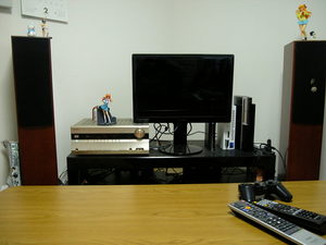 vlippan062508
