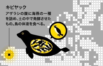 JSfNrZV