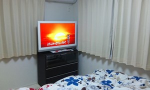 vlippan062485