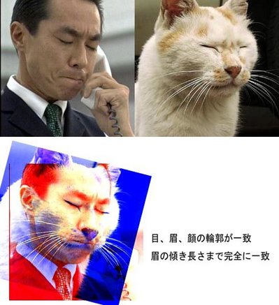 hirame059894