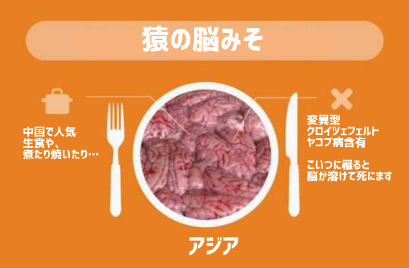 EzzZMQt