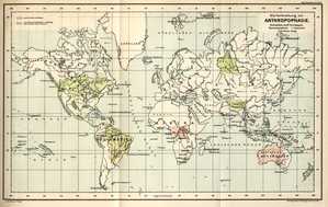 i0038704-1261066472