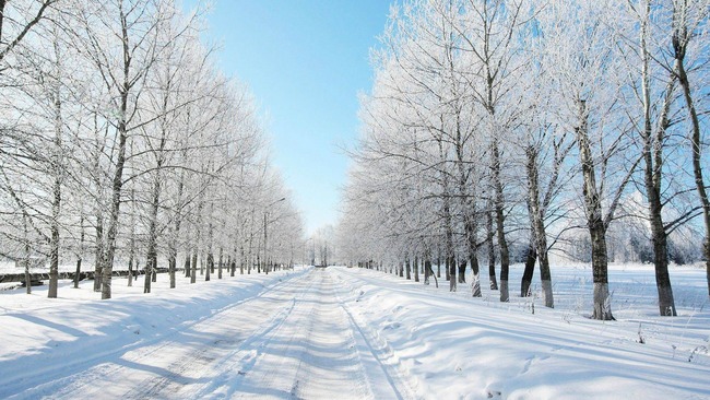 snowy_road-winter_scenery_HD_Wallpaper_1920x1080