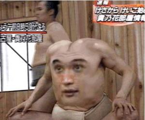 hirame075208