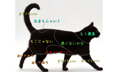 newsplus-1399079339-12