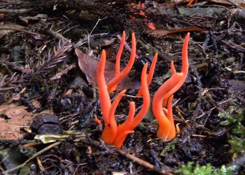 95f1c7dafcf7f3743112a3205c455681_9204