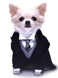 金貸し犬