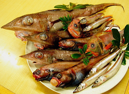 深海生物