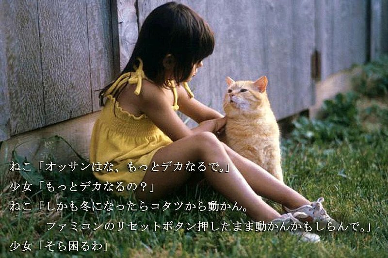 動物