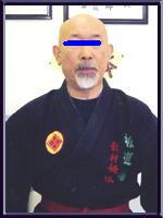 柳龍拳