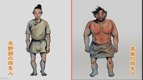下半身に比べ上半身だけ異様にマッチョな弥生人の骨が見つかる・・・