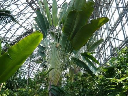 【画像】植物園とかいうガチのマジで過小評価されてる施設wwwwwww