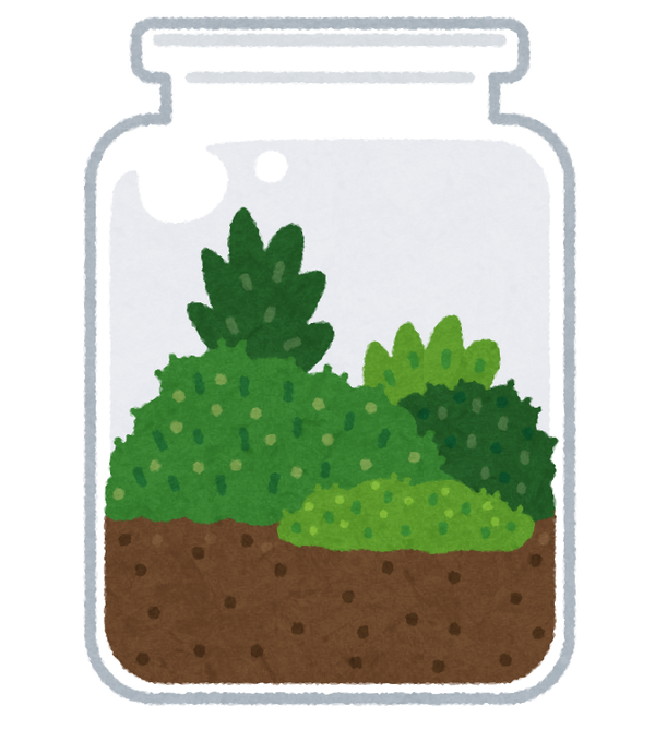 koke_terrarium
