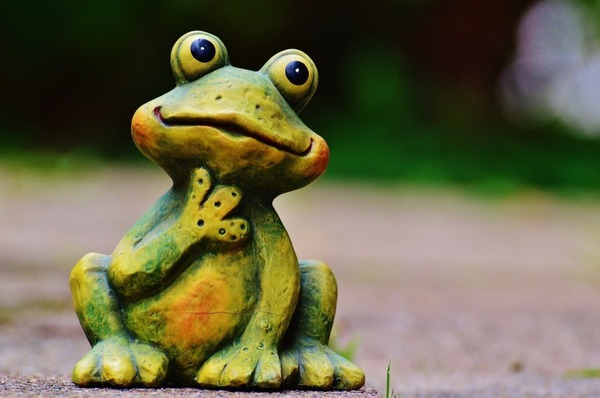 frog-982807_1280