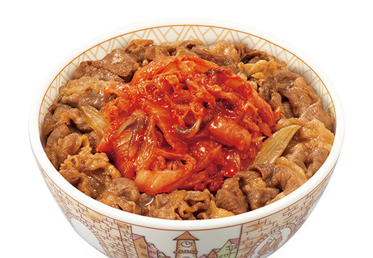 photo_gyudon_100500