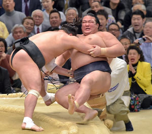 稀勢の里応援スレ part.935 	YouTube動画>2本 ->画像>18枚 