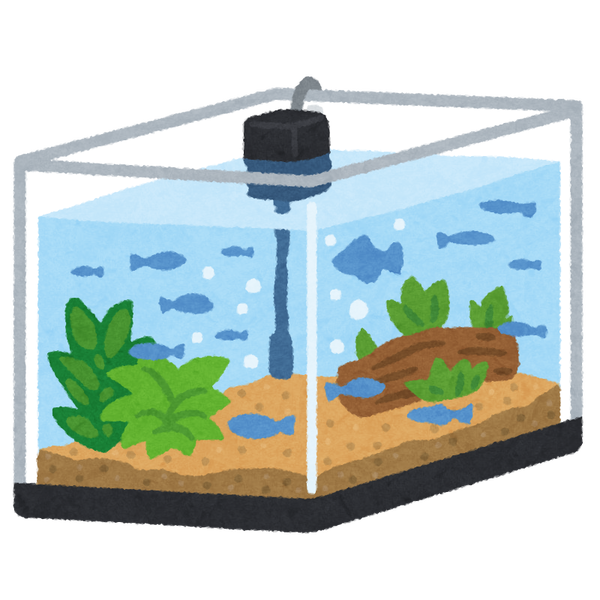 suisou_fish