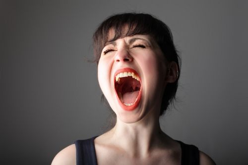 shutterstock_35180446