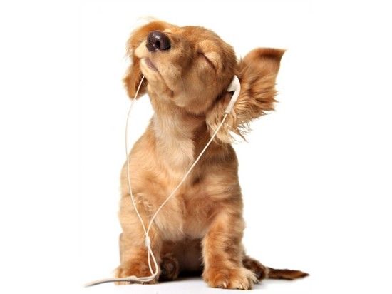 musichealth2-550x412