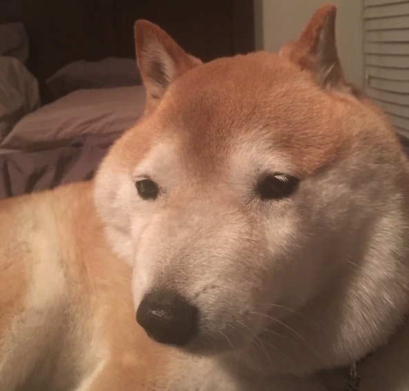53 AM