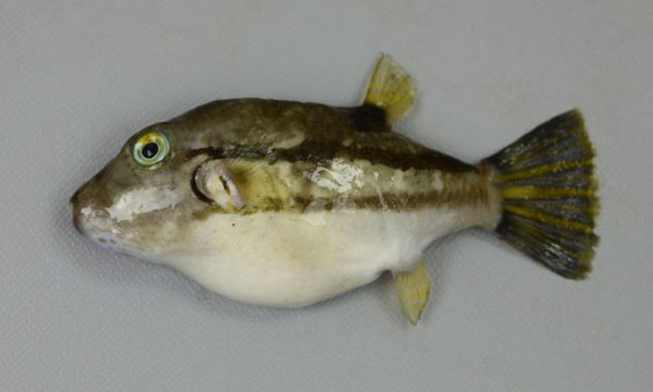 kitamakura_1