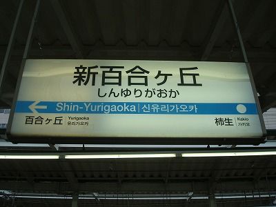 DSC08681