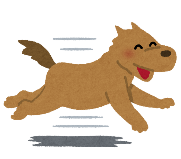 run_dog_smile