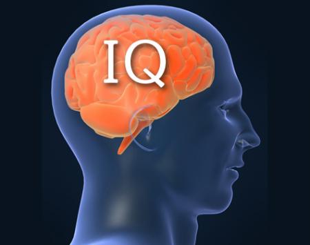 IQ¡¡ËÜʸ