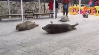 DBJiGSpUAAAbPkv