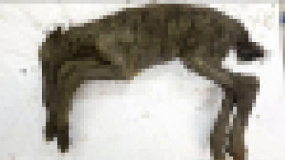 9c877_88_4be3cdbf52a2064db952fc65ab25f646