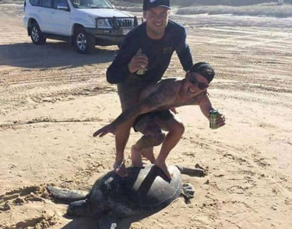 no title