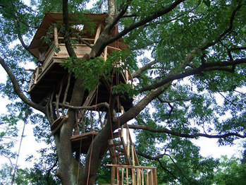 nagano_treehouse