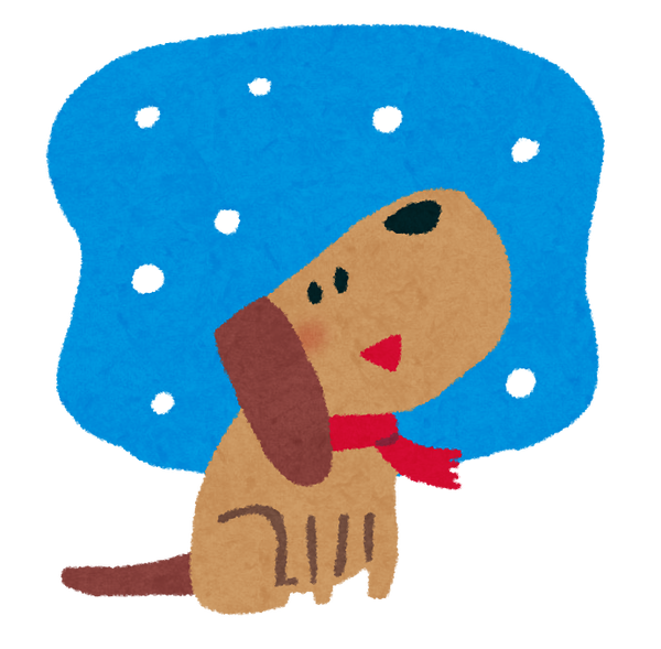 snow_dog
