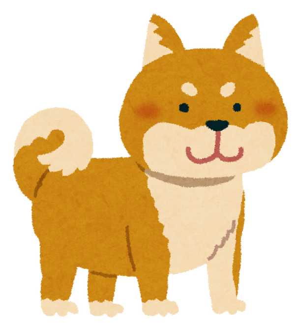 shibainu_brown