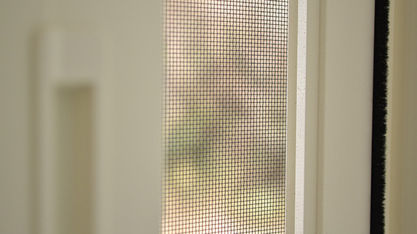 20150302-amido011