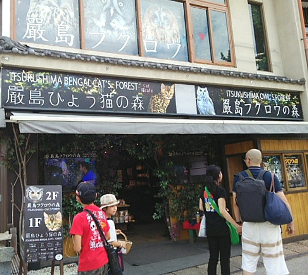 o0640057113725915970