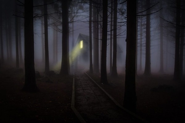 foggy-545838_1280-1024x682