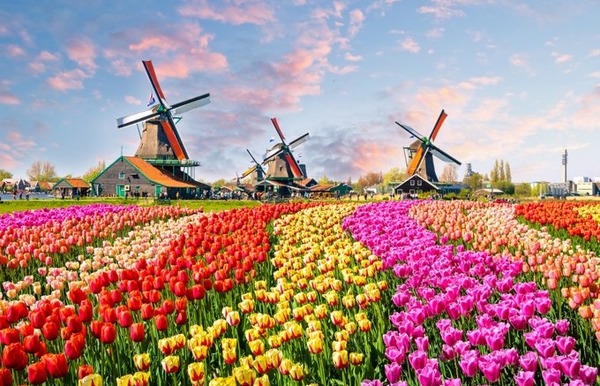 th_shutterstock_490194529-680x437