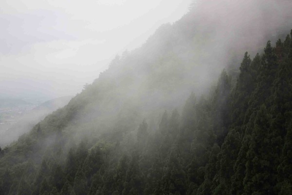 山 本文