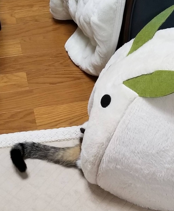 no title