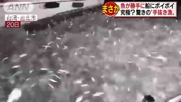 ¥¹¥¯¥ê¡¼¥ó¥·¥ç¥Ã¥È 2018-07-25 5.12.13 AM