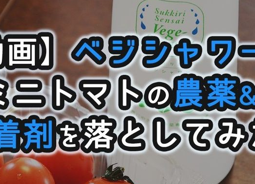 dgnyukyu