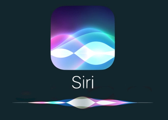strjrjyj